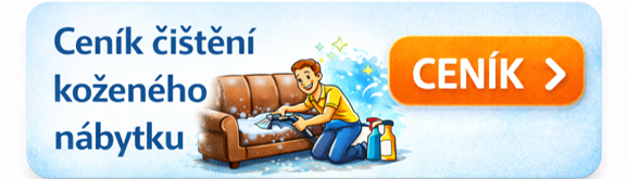 Čištění kožený nábytek